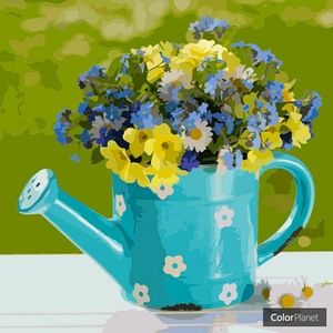 Meet your Posher, Lesa